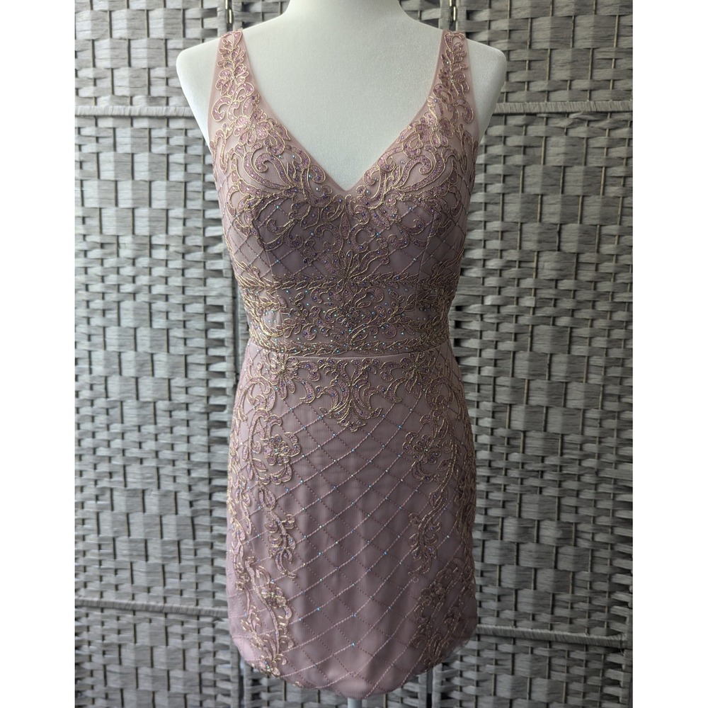 Marianna Mini Dress Blush Pink Embroidered Beaded Sheer Panel Molded Cups Sz M